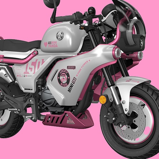 全新小熊電單車 | 現已登陸香港 | 輝Sir電單車獨家發售 8 panda-zonsenmotor-white-pink-small